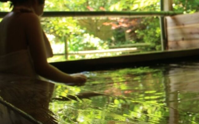 Iwasu Onsen Ryokan Iwasuso