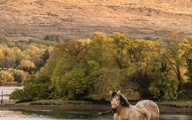 Park Hotel Kenmare