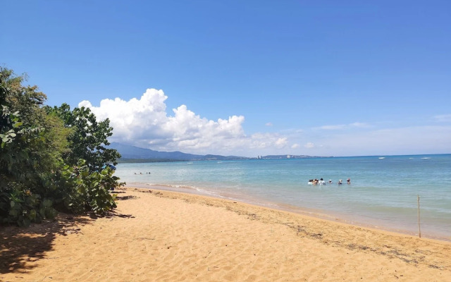Tropical Breeze Escapes Couples Studio