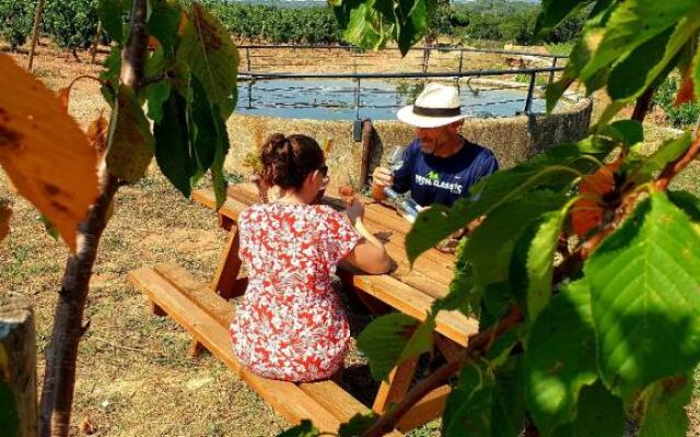 Domaine De La Navicelle - Syrah