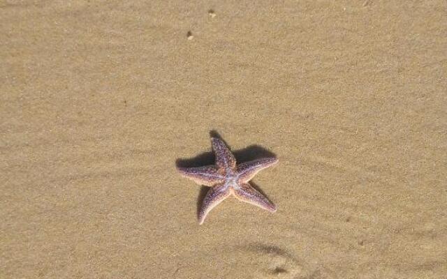 Charmante maison Landaise