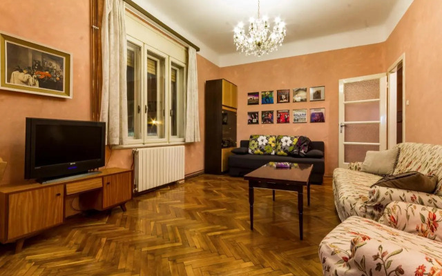 Spacious & Smart Center Apartment