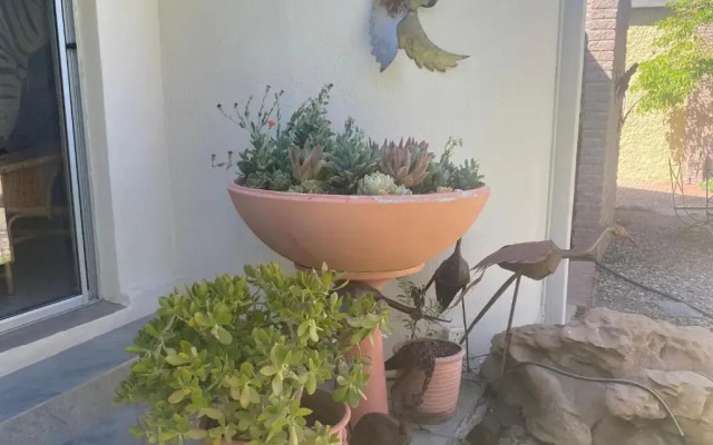 Bird's nest Guesthouse