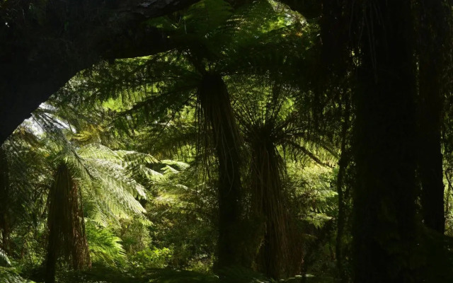 Wilderness Backpackers
