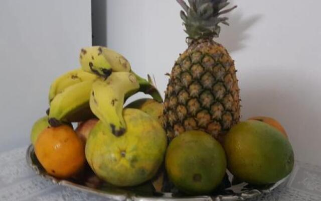 Apartamentos E Suites Em Ponta Negra