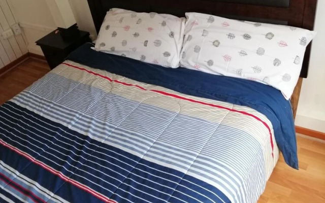 Wild Santiago Hostel