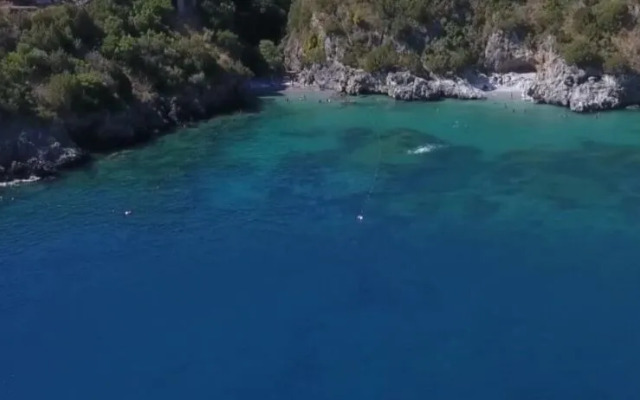 I Fiori Di Donna Ester