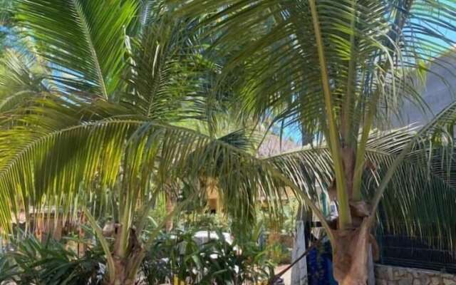 Hostal Punta Paraíso Cabañas