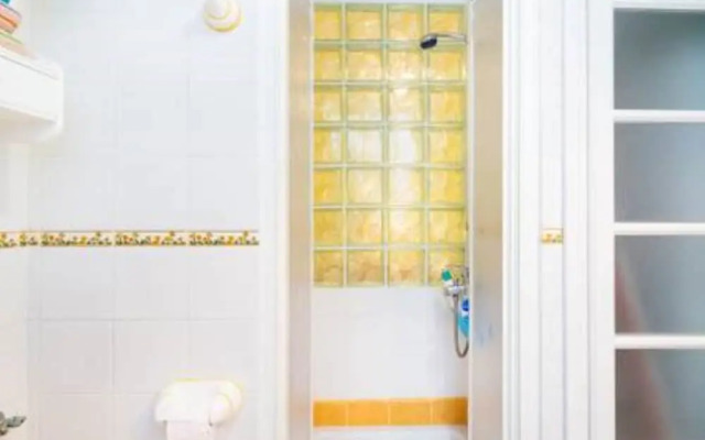 Sea Stars Las Canteras