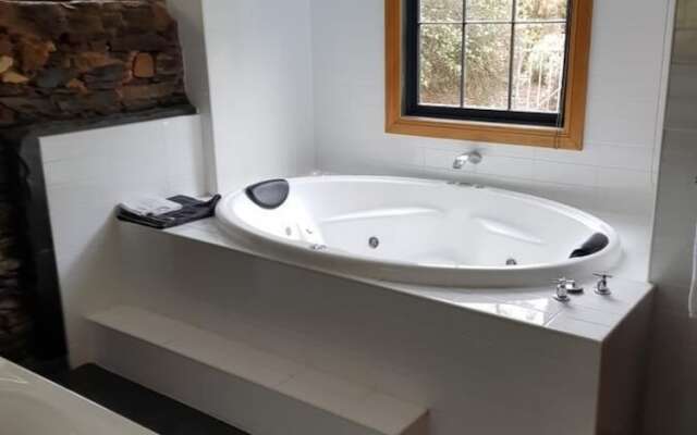 Redwood Studio - Adults Only