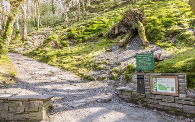 Dolgoch