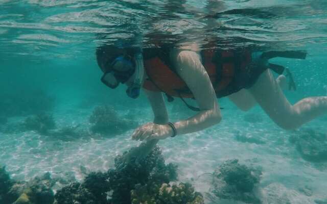 Talikud Island Mangrove Beach Resort
