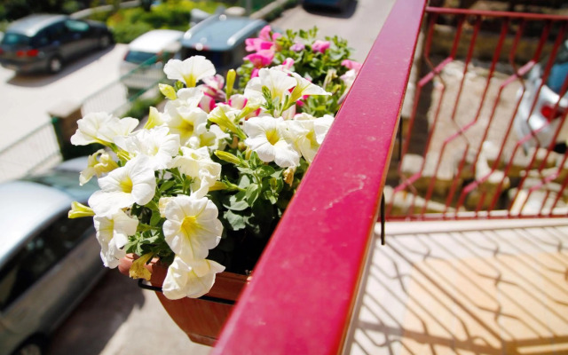 Central Rooms Matera
