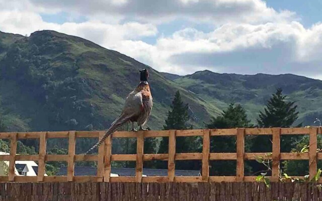 The Bothy, Perthshire - Your Unique Luxury Refuge