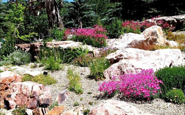 16 Forest Rd - 5 Br Home