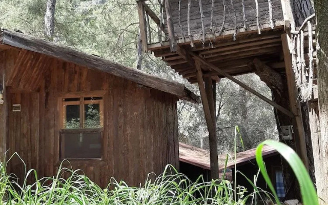 Altaris Bungalows Olympos
