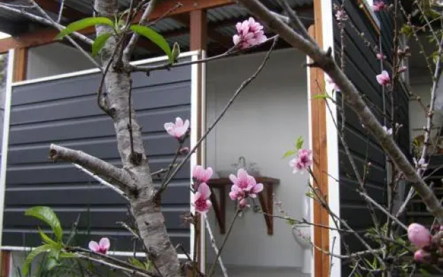 The Tree House, 6 Gowing Street