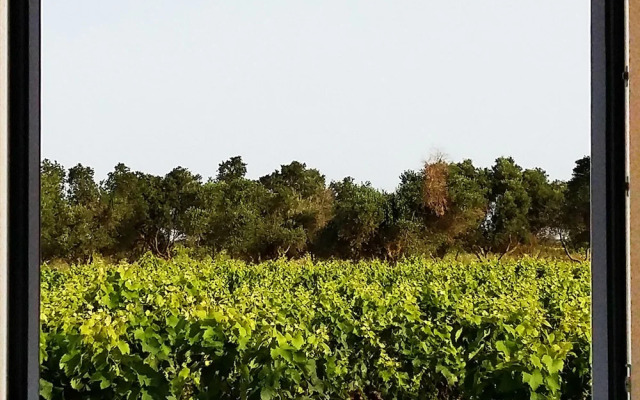 Casale alle Vigne
