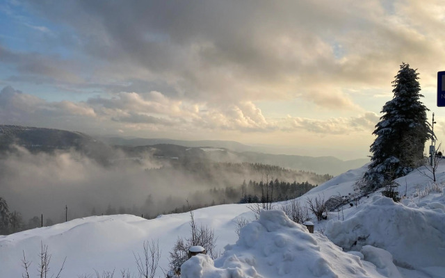 Ferienwohnung am Hirschkopf