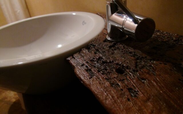 SassoErminia B&B Ecosostenibile