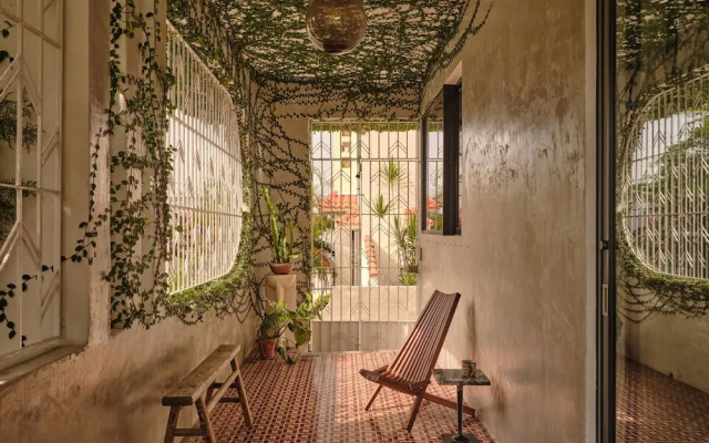 CASA FRIDA by DW