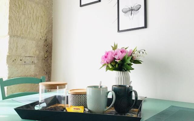 LE COSY LOIRE appart