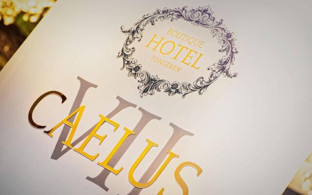 Boutique Hotel Caelus VII