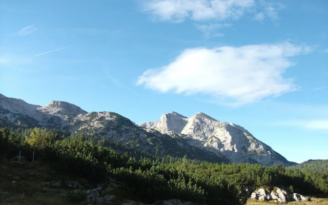 Ferienwohnungen Gästehaus Lärcheck