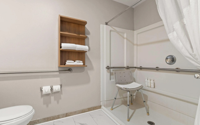Microtel Inn & Suites by Wyndham Salisbury