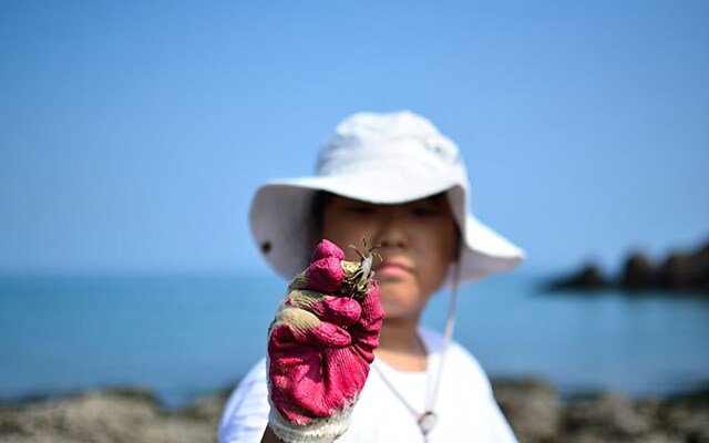 Taean Thedameun Pension