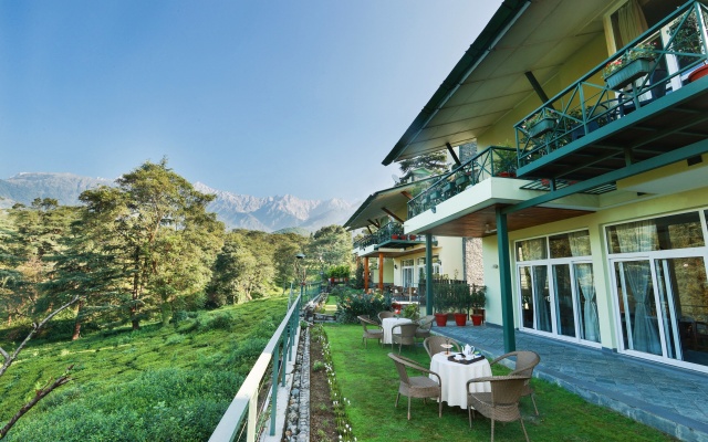 Lamrin Norwood Green Palampur