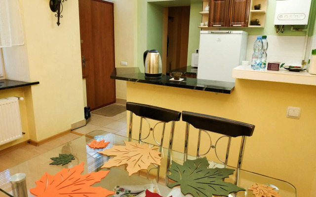 Lviv City Apartment