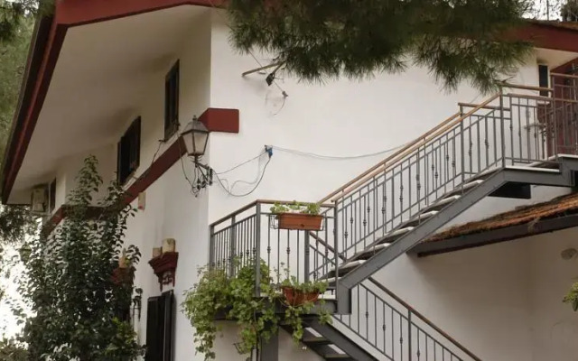 Ombra dei Pini
