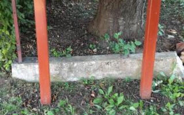 Lika Dream - Obradovic