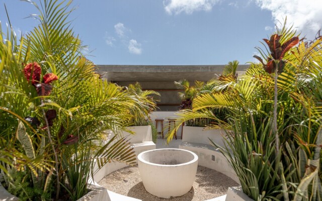 Seremonia Origen by Vida de Playa