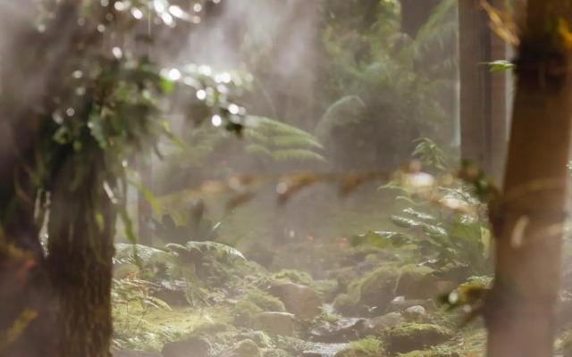 Tree Scape Retreat Resort