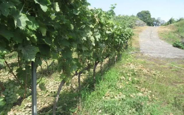Le Case del Merlo