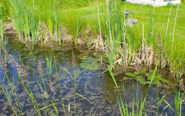 Gîte du Centre Mieux-Être