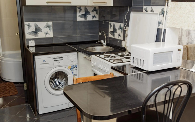 Transitional Havryky Apartment