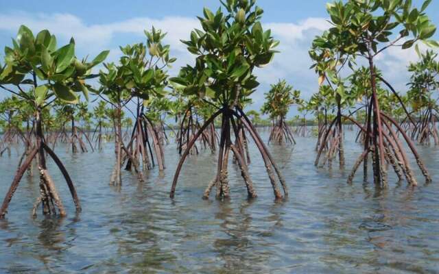 Seagulls Beach & Garden Cabanas