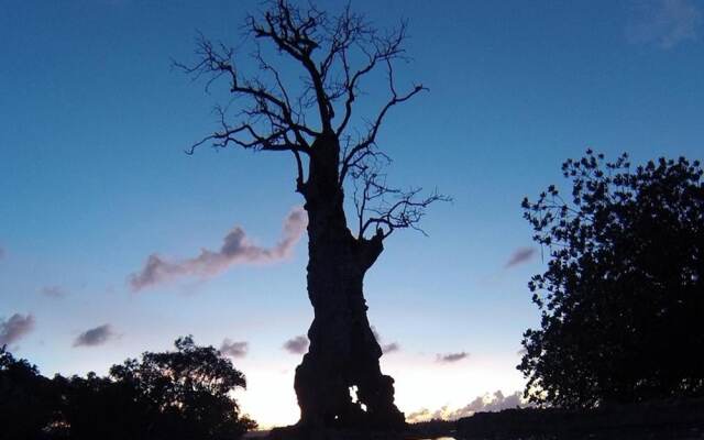 Sunset Bay Beach Villas