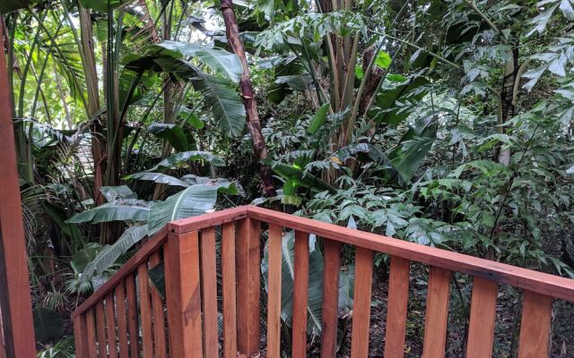 Rain Forest Gem