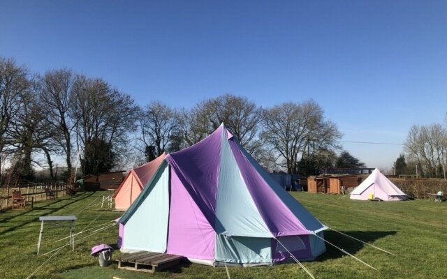 Fully Equipped Bell Tent 1 Campsite