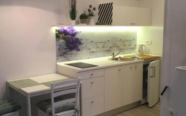 Studio Apartment Sisi