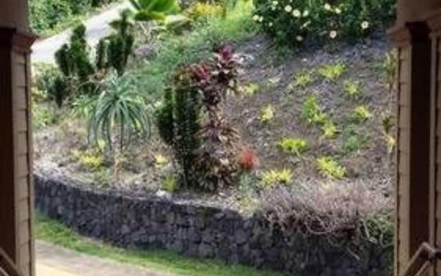 Kona Palace in Captain Cook