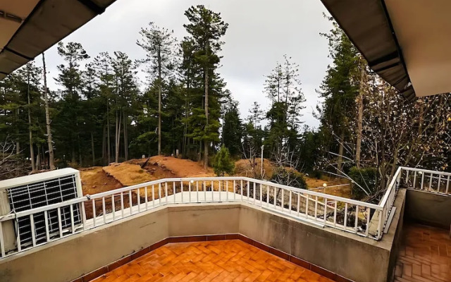 Alpine Luxe Villa