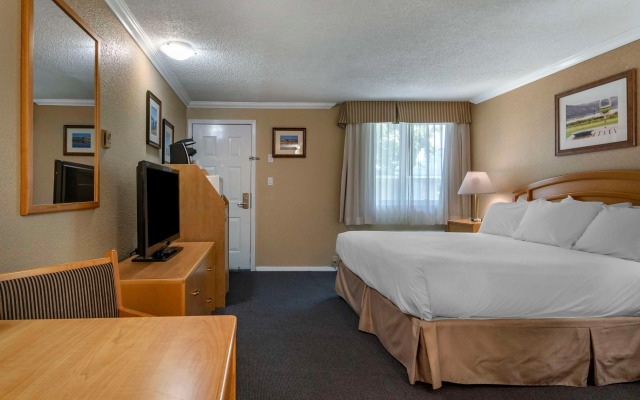 Best Western Inn At Penticton