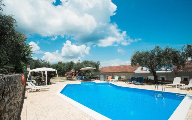 Olive Grove Poolside Apartments