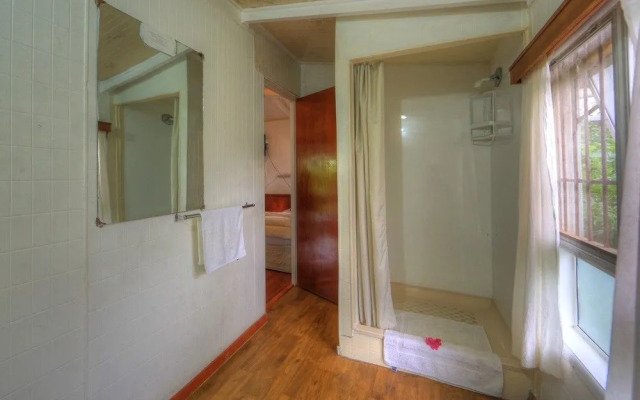 The Friendly Islander (Papiloa's)