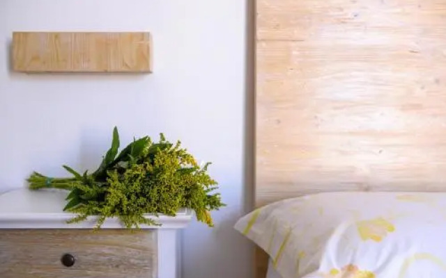 Villa Sofia Bed and Breakfast 2